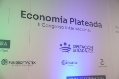 ECONOMIA-PLATEADA-564