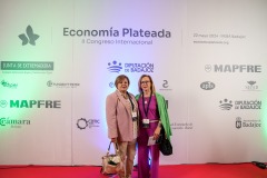 ECONOMIA-PLATEADA-490